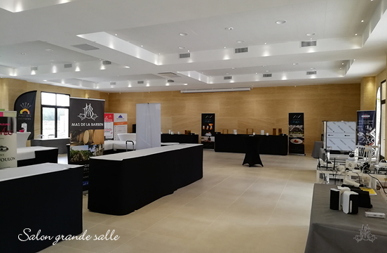 Salon dans la grande salle du Mas de la Barben à Nimes